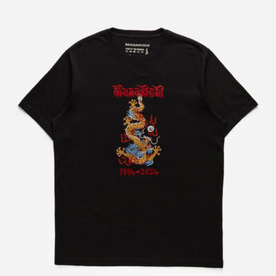 5017 Descending Dragon T-Shirt