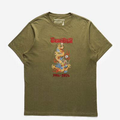 5017 Descending Dragon T-Shirt