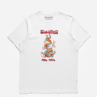 5017 Descending Dragon T-Shirt